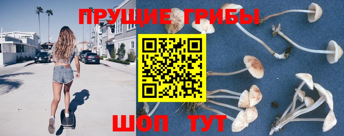 Псилоцибиновые грибы GOLDEN TEACHER  Вход с VPN  Чехов 