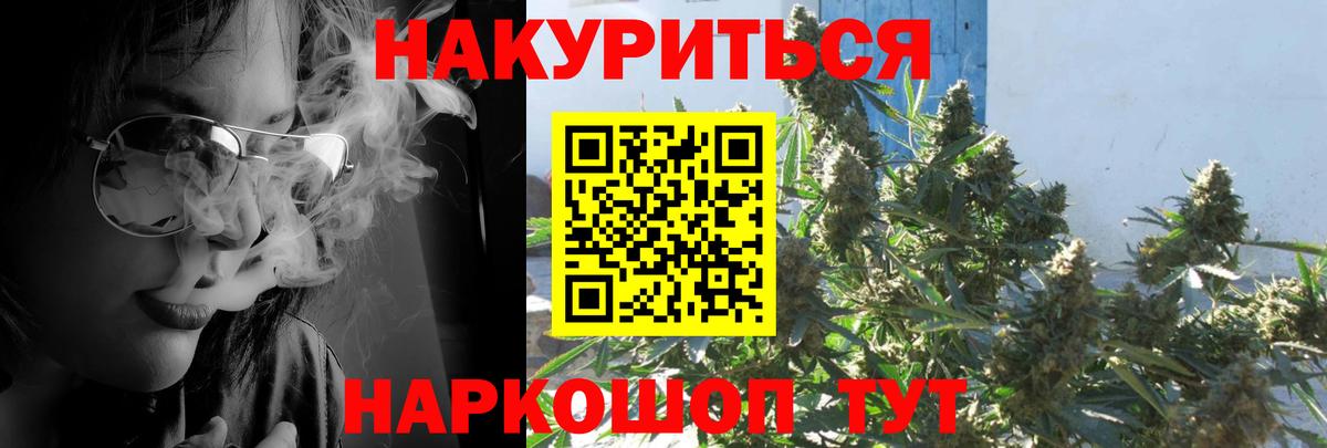Бошки Шишки семена Чехов
